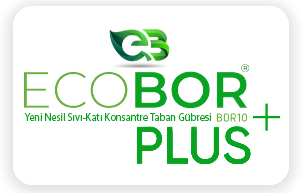 ECOBOR PLUS